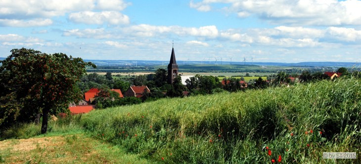 Blick vom Kirschberg