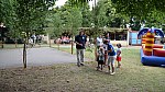 0190_Ki15_310