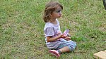 0268_Ki15_433